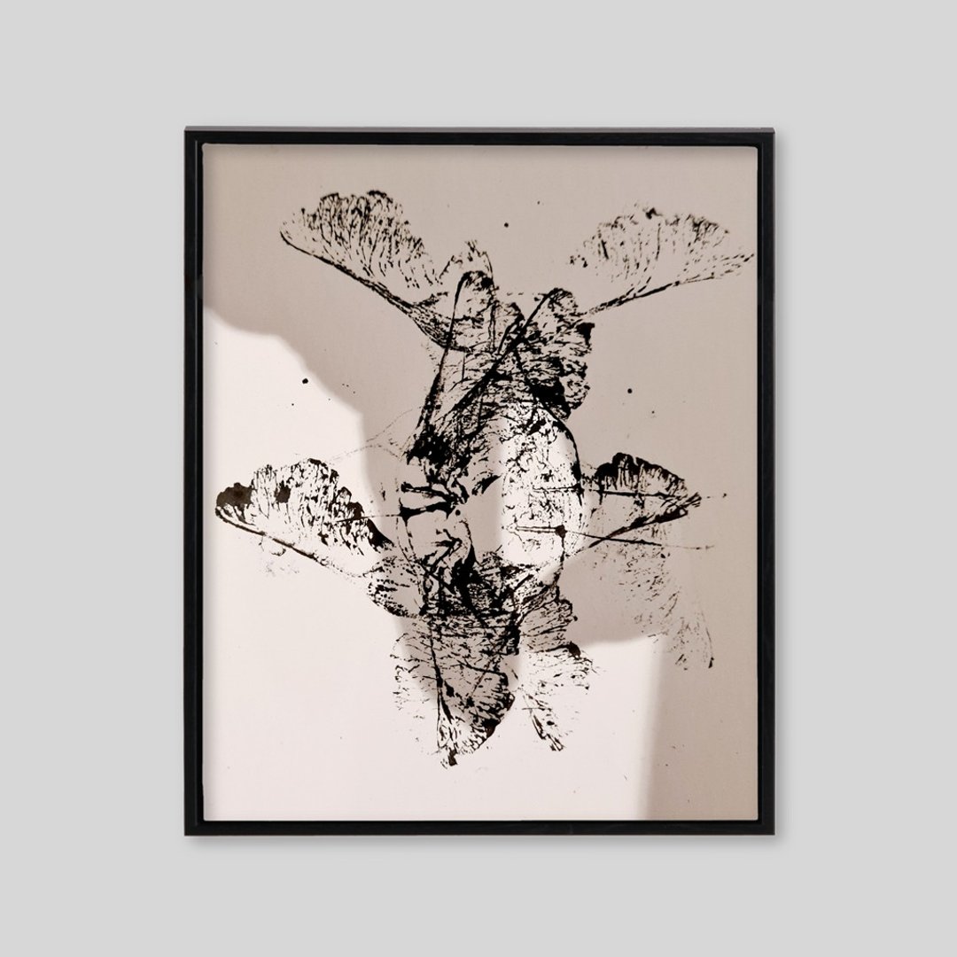 艺术与自然系列2 挂画 - 海报/装饰画/版画 - 其他材质 