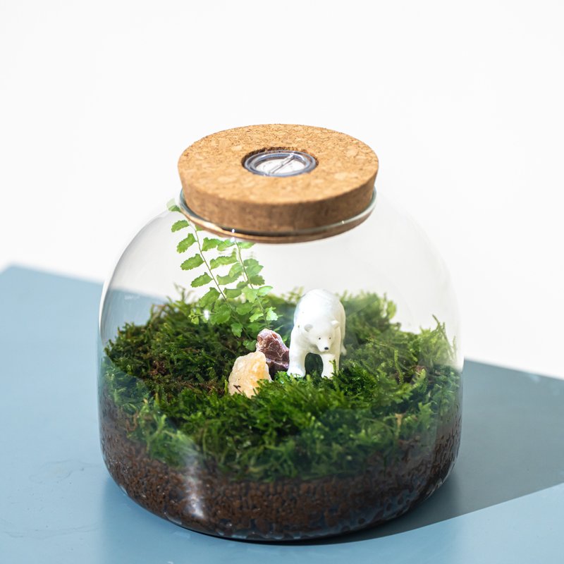 玻璃软木塞－独自的熊 - 植栽/盆栽 - 玻璃 多色