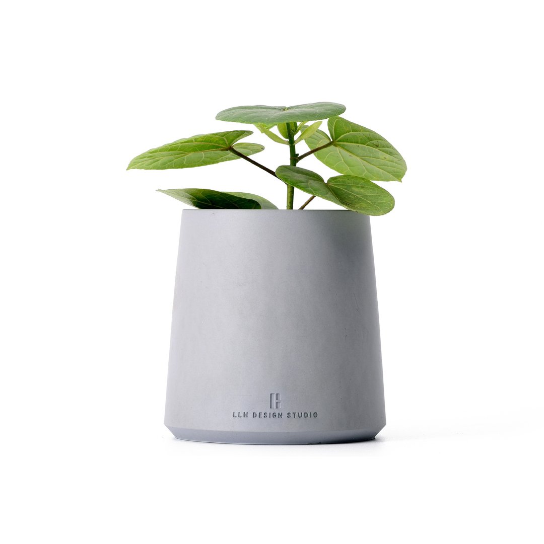 Hill_小山盆(基本款)/盆栽/多肉/观叶/盆器 - 植栽/盆栽 - 水泥 灰色