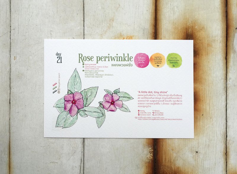 在地花卉明信片 - 第二十一日 小圆点 - 卡片/明信片 - 纸 