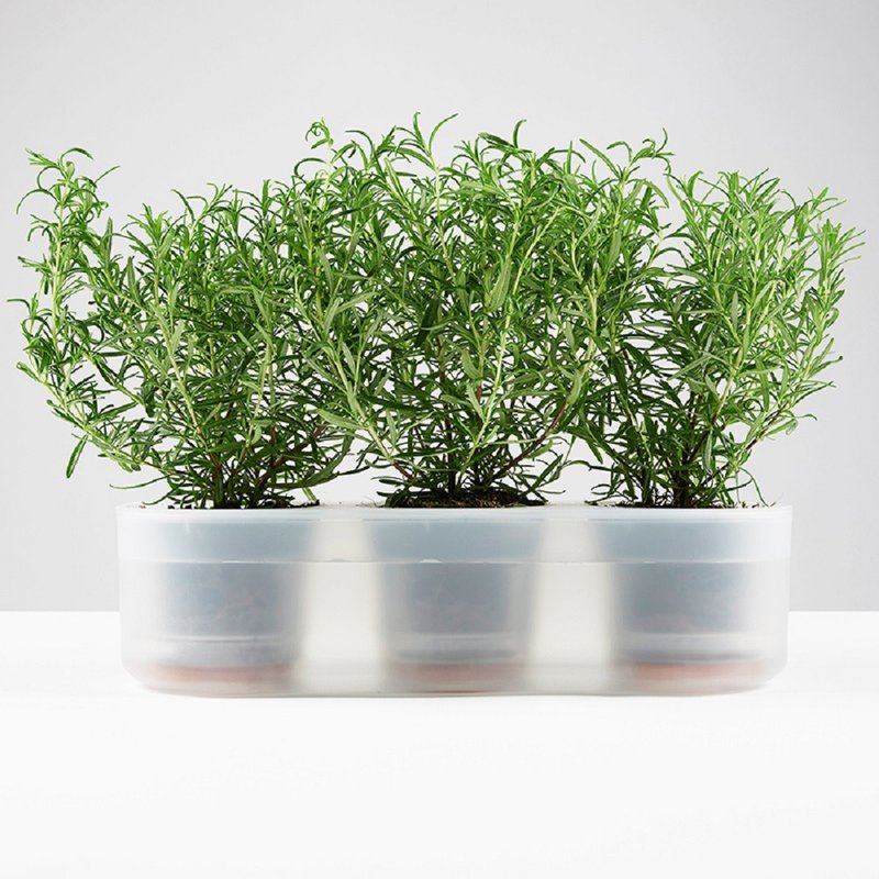 耕作之盆 Self-Watering 懒人花器 三合盆 - 植栽/盆栽 - 塑料 透明