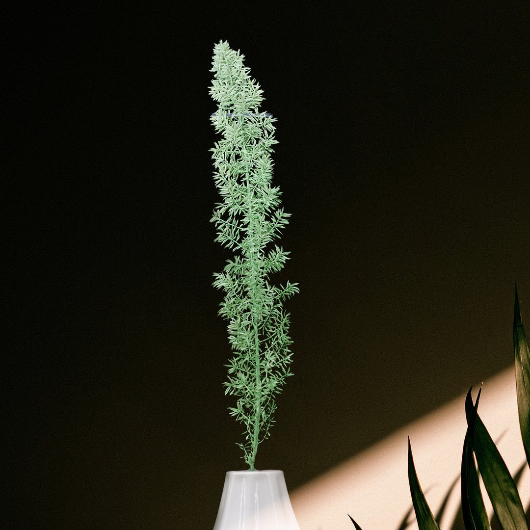 狐尾武竹 延色草系列 G02麦苗绿 植色木木 干燥 永生 人造 - 干燥花/捧花 - 植物．花 绿色