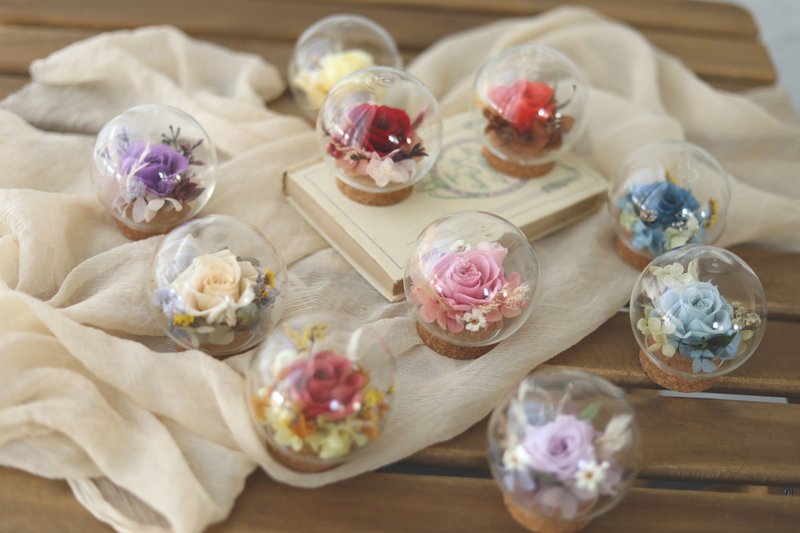 现货  mini水晶泡泡球 / 永生花不凋花 干燥花玻璃球 - 干燥花/捧花 - 植物．花 