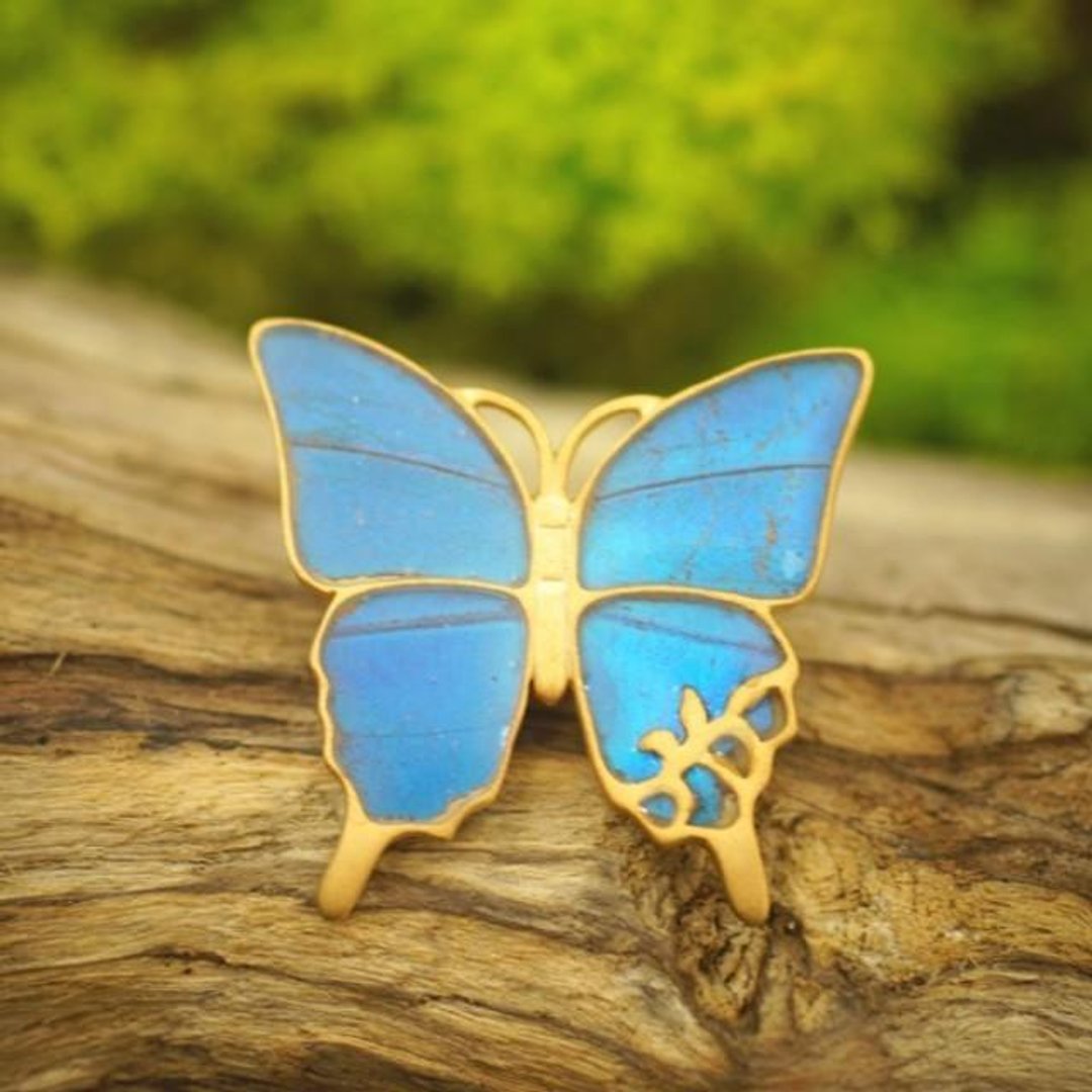 Morpho butterfly antique brooch - 胸针 - 其他金属 蓝色