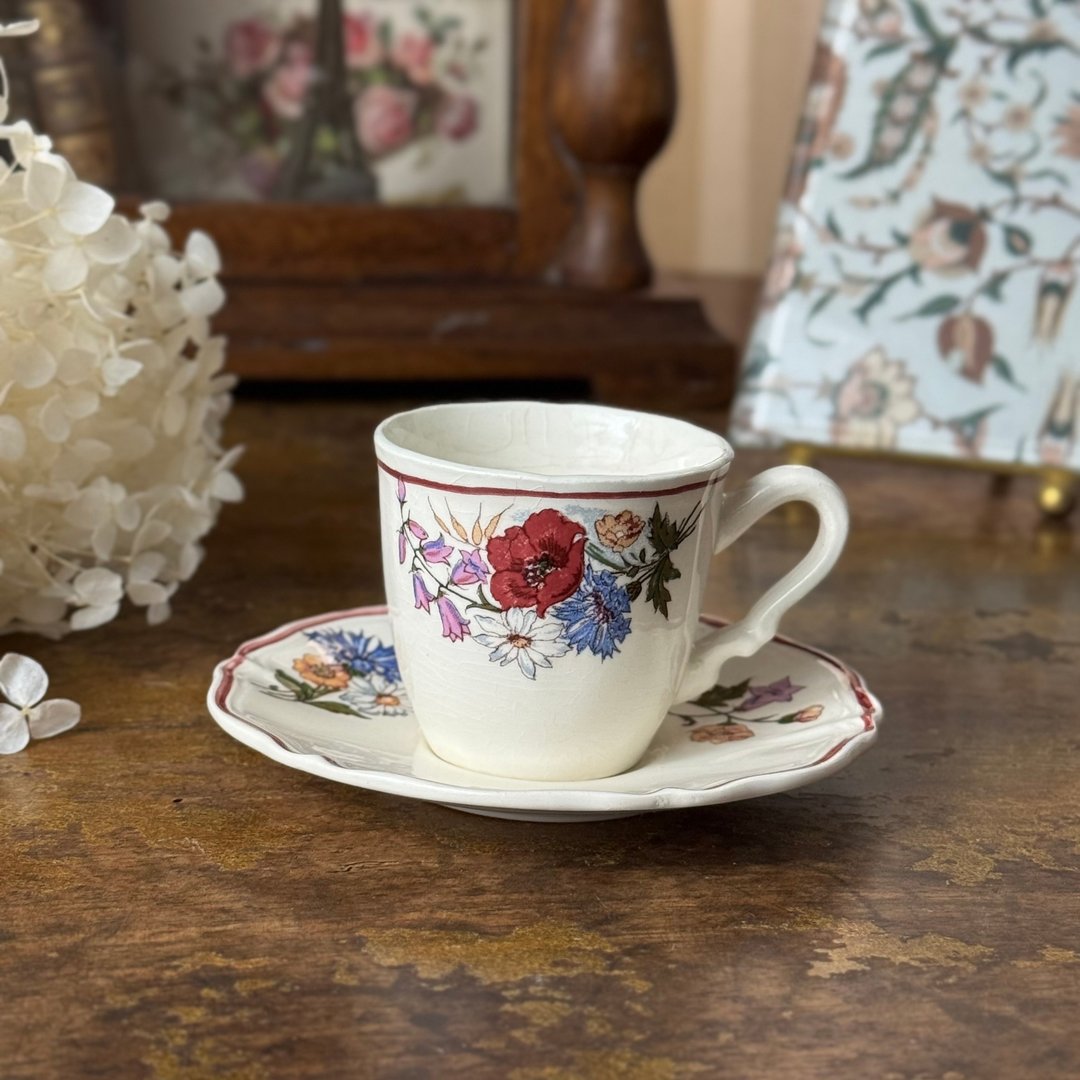 50679-迷人法国Sarreguemines AGRESTE 咖啡杯与碟 - 茶具/茶杯 - 瓷 