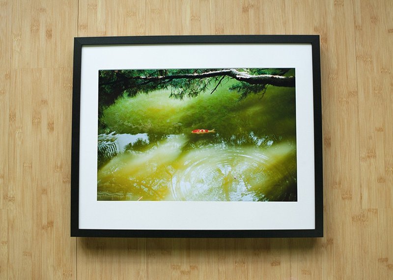 千利休的目光 (摄影作品) - 摄影集 - 纸 绿色