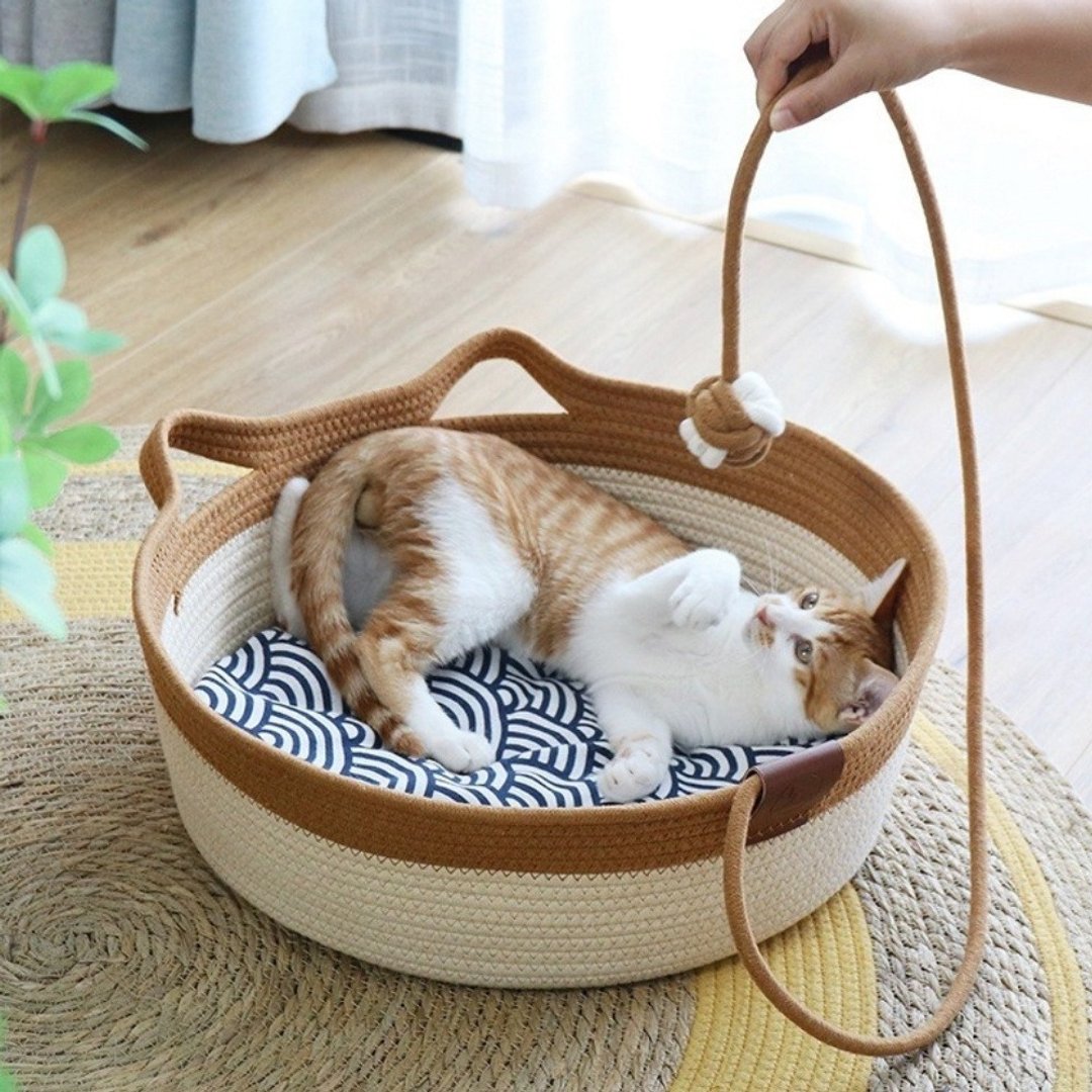 天然猫猫大碗公 (在跩的猫都无法抗拒的大碗公/可猫抓还有逗猫球) - 床垫/笼子 - 其他材质 多色