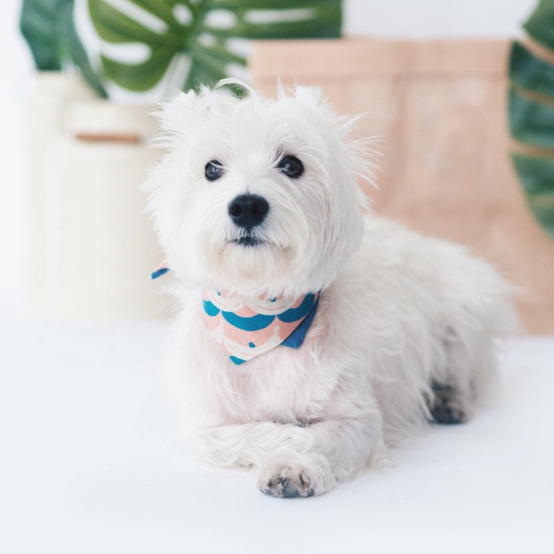 夏日香焦图案宠物领巾 - 衣/帽 - 棉．麻 紫色