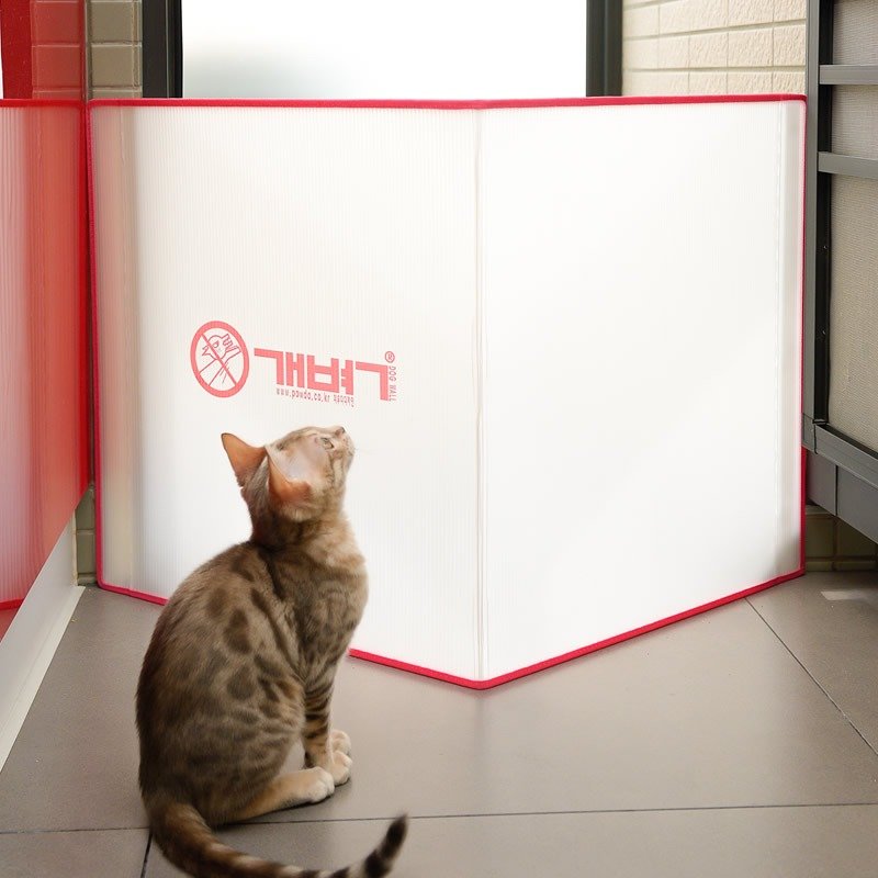 【韩国YogiPet搬家了】 - 其他 - 塑料 白色