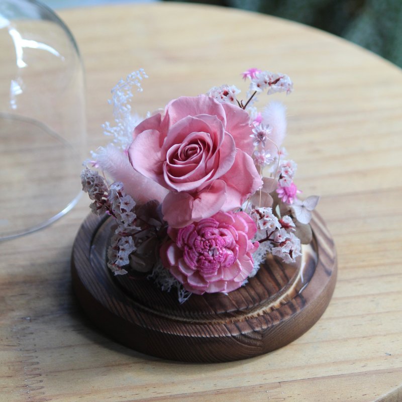 精致深粉玫瑰小玻璃花盅 - 干燥花/捧花 - 植物．花 粉红色