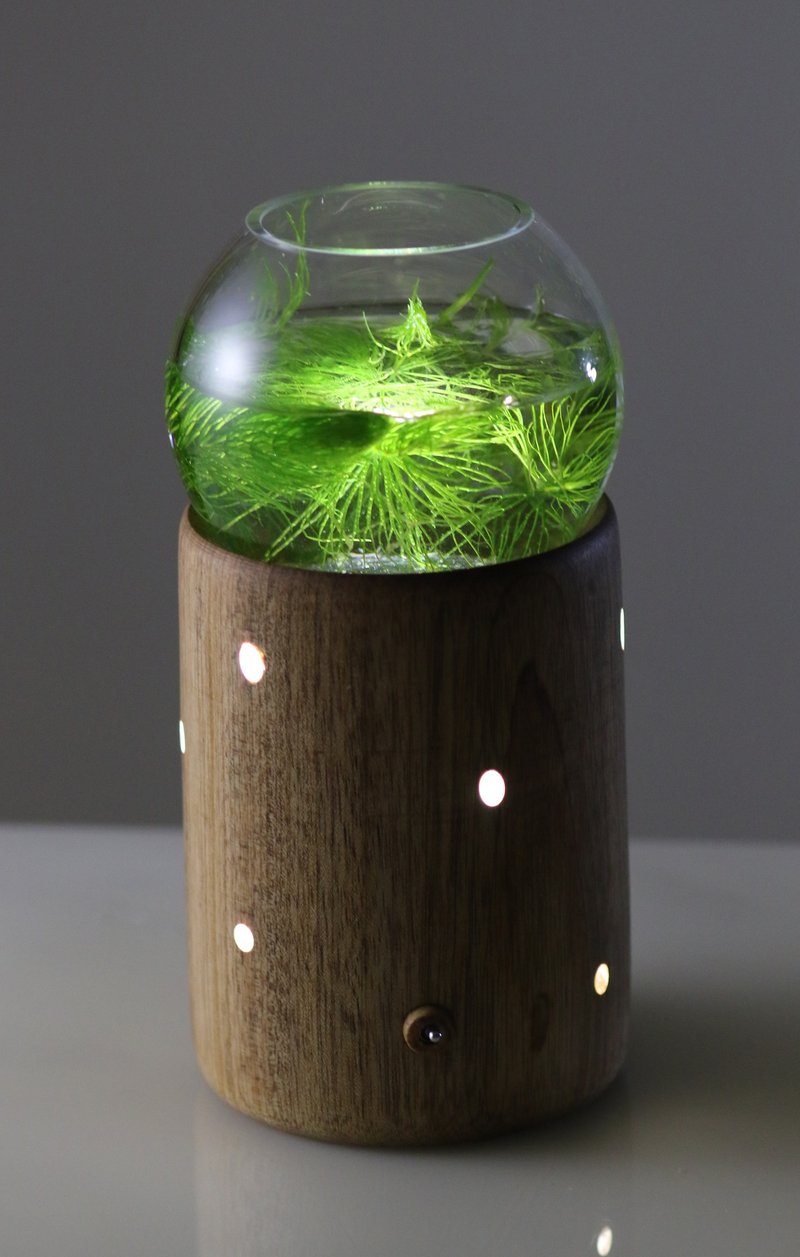 球型小花器 - 灯具/灯饰 - 木头 