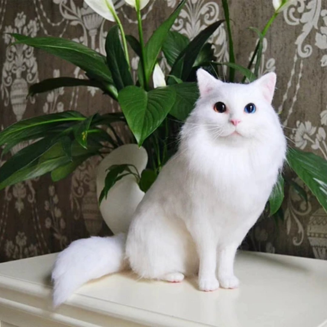 定制化礼物 逼真猫猫 羊毛毡 毛孩 宠物 娃娃 猫咪猫奴 似颜绘 s1 - 玩具 - 羊毛 多色