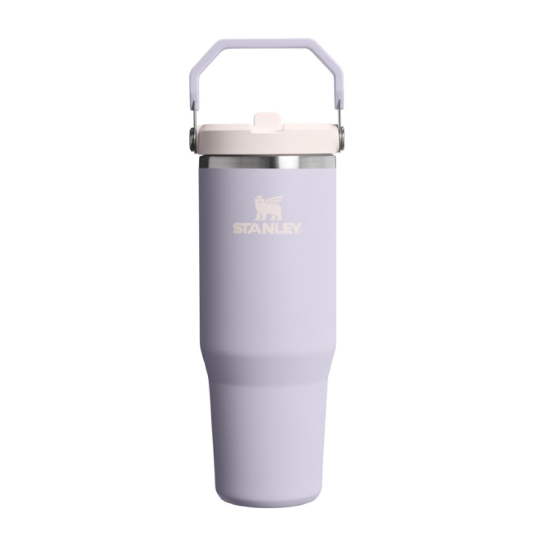 STANLEY 经典系列 IceFlow 手提吸管杯 2.0 0.88L / 柔雾紫 - 保温瓶/保温杯 - 不锈钢 多色