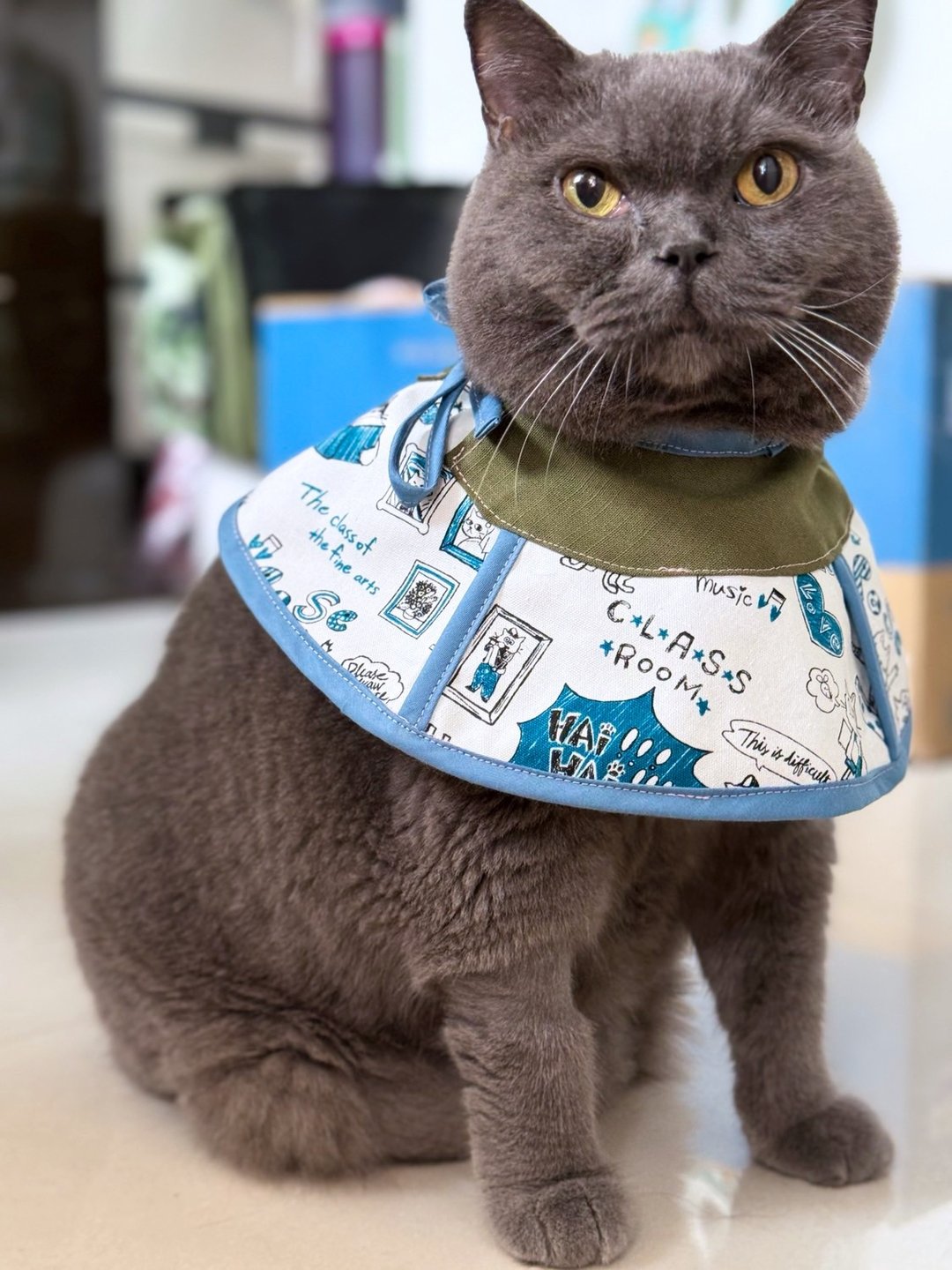 猫咪专用头罩 防抓防舔 伊莉莎白项圈 - 衣/帽 - 棉 蓝色
