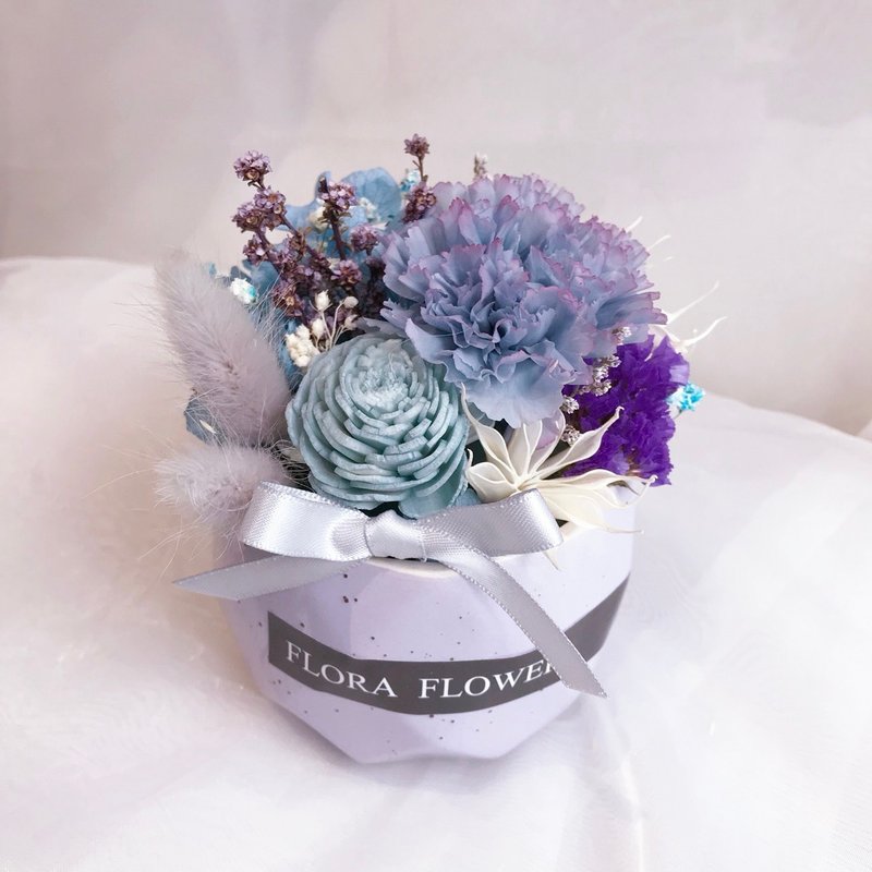 flora flower 典藏康乃馨永生小盆花礼盒/盆栽 干燥花束 母亲节花束 生日礼物 摆饰 不凋花 母亲节花礼盒 - 植栽/盆栽 - 植物．花 紫色