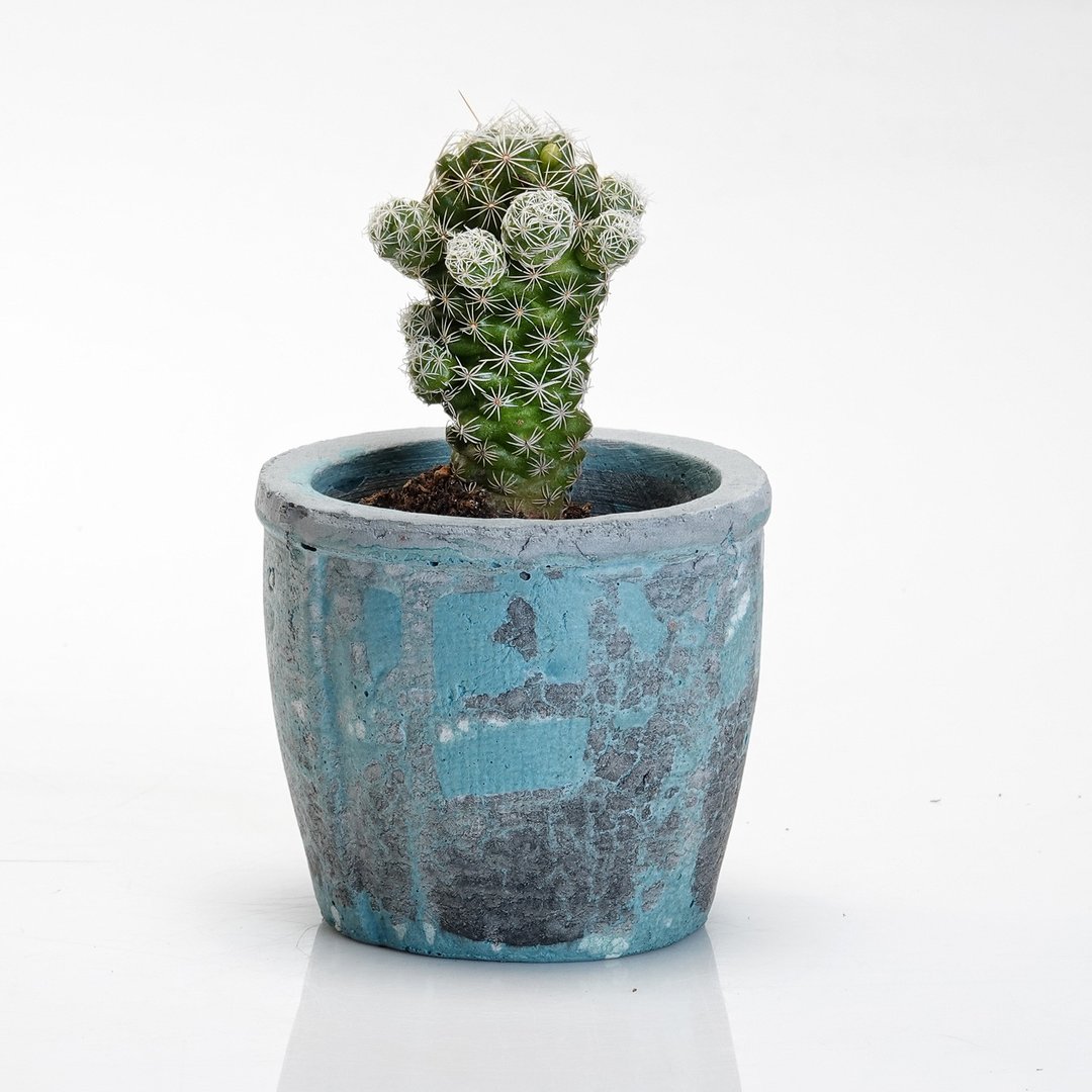 水泥盆器 - 植栽/盆栽 - 水泥 