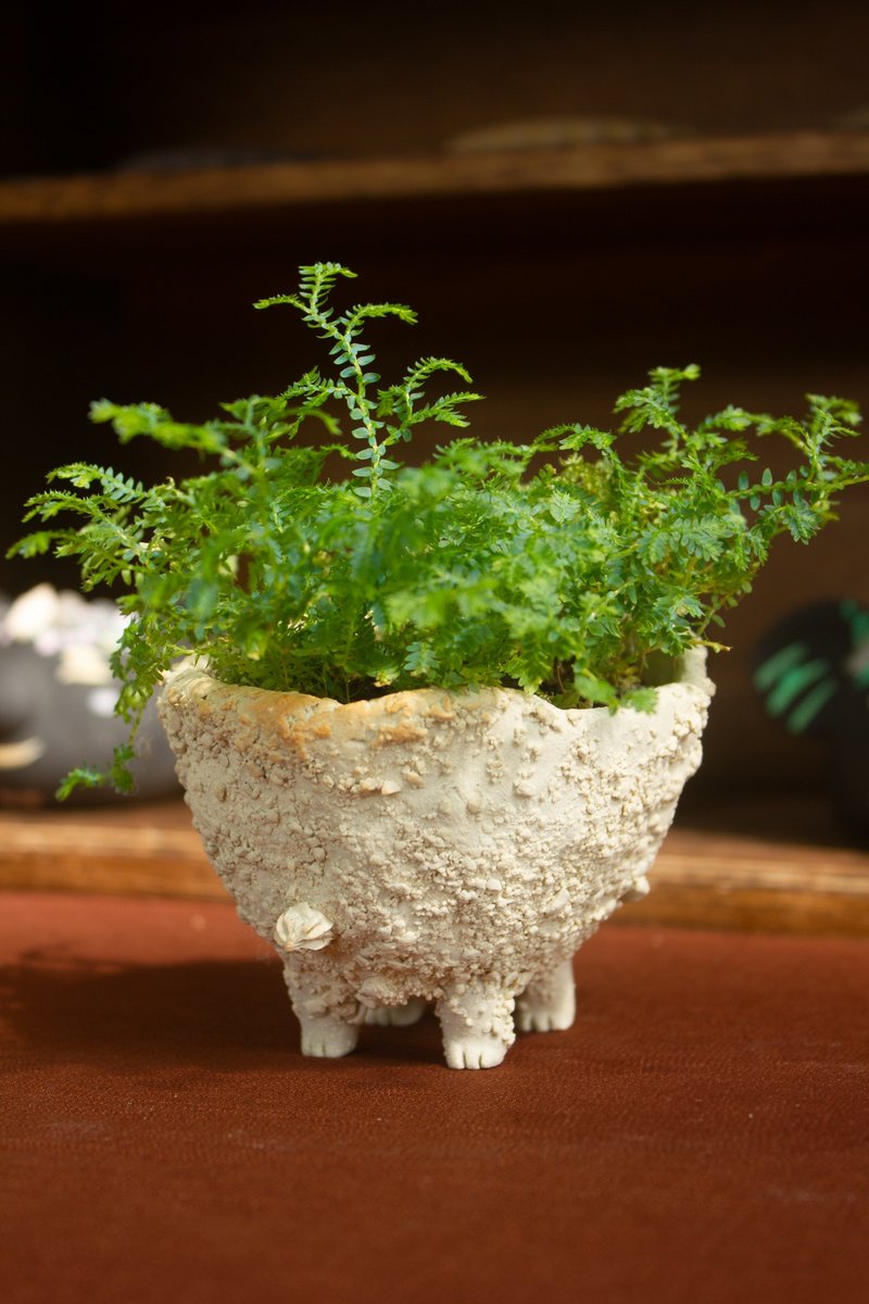 白巧克力奶油兽 盆器 植栽 花器 手作陶艺 独一无二 礼物 送礼 - 植栽/盆栽 - 陶 