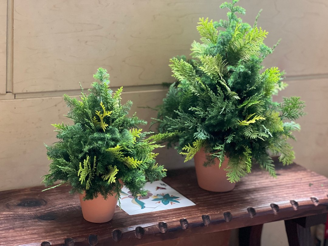 新鲜圣诞裸树/手工制作插海绵设计/DIY圣诞节手作/圣诞布置 - 摆饰 - 植物．花 绿色