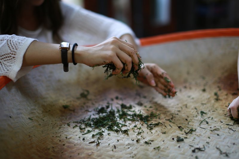 DIY手揉茶体验活动/双人活动(附茶饮)-4-11月季节限定 - 深度旅游 - 新鲜食材 