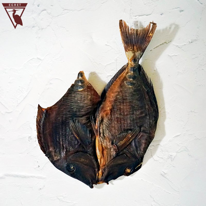 EGRET重量级现流日晒海猪哥倒吊鱼干/壹只入/无添加/全干/淡 - 其他 - 其他材质 