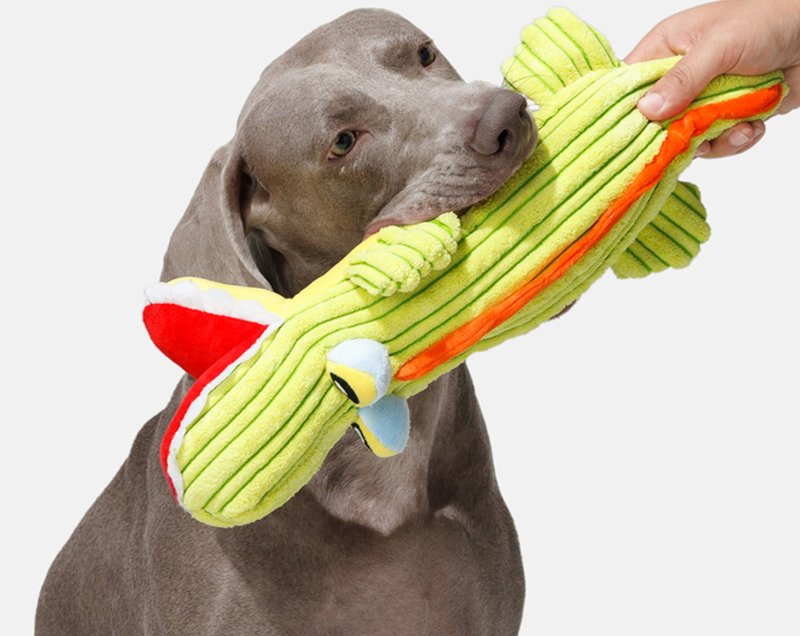 【爱心鳄鱼】小型犬/耐咬磨牙发声毛绒玩具 - 玩具 - 其他材质 绿色