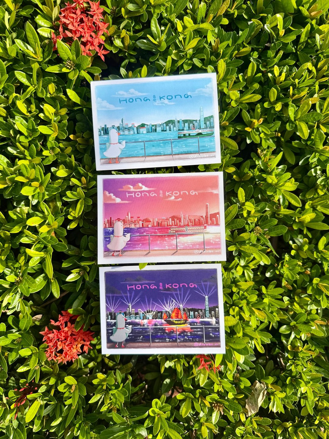 原创明信片 香港维多利亚港海景 3款 - 卡片/明信片 - 纸 