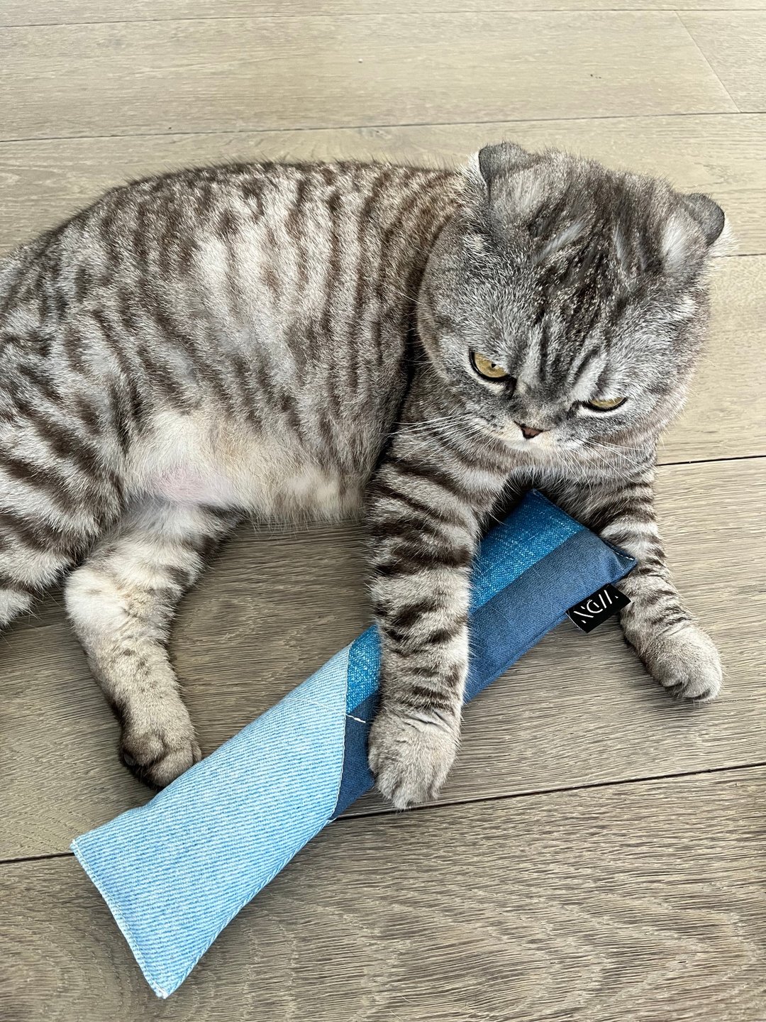 猫草牛仔踢踢抱枕 Blue on Blue - 玩具 - 棉．麻 蓝色