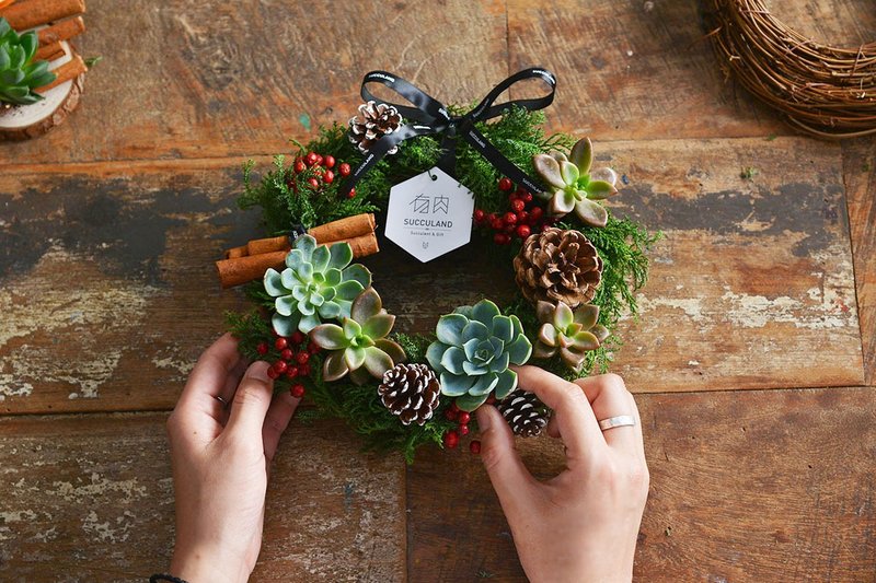 圣诞活动 / 圆滚滚多肉花圈  多肉花艺 - 植栽 - 植物．花 