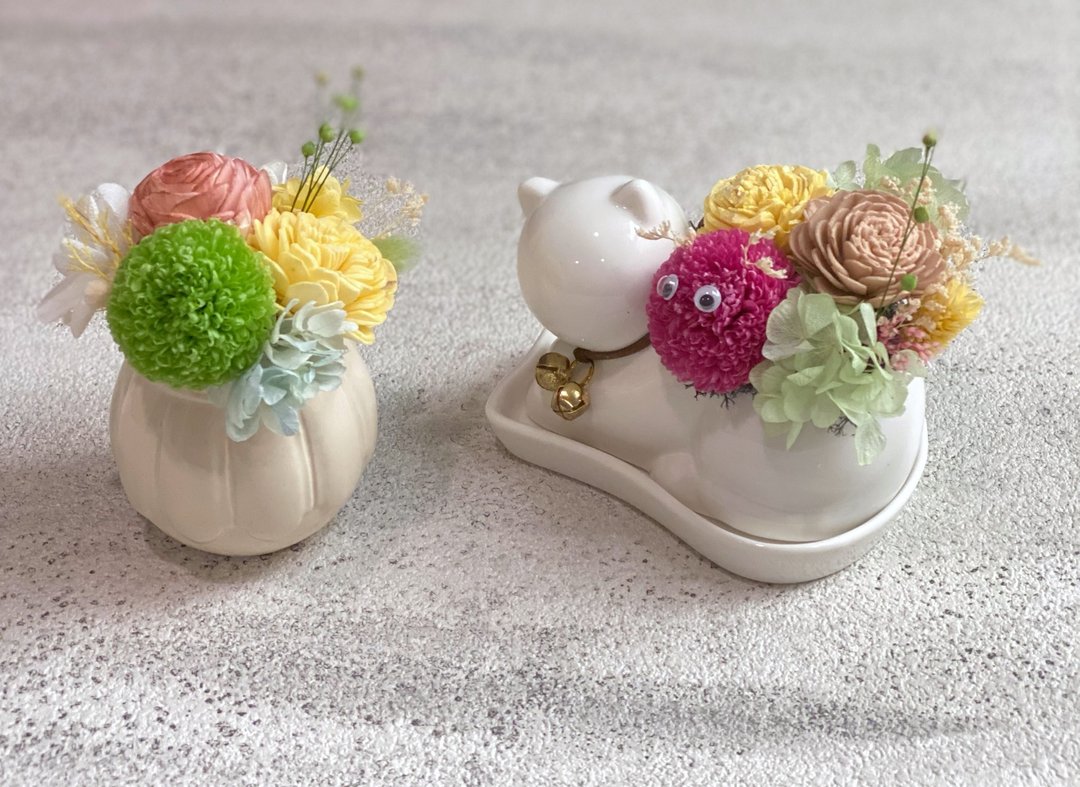 【实体手作】永生乒乓菊 小桌花手作体验 - 植栽 - 植物．花 