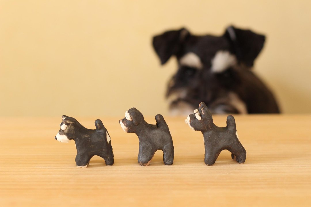 Zodiac dog (Miniature Schnauzer mini) - 摆饰 - 木头 