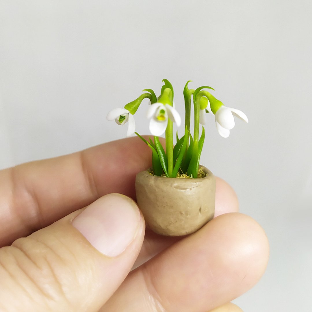 盆娃娃屋微型花中的微型雪花莲 - 植栽/盆栽 - 其他材质 白色
