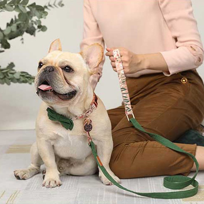 定制/领结可拆/棉质舒适 | 狗猫项圈-粉红糖果 Pawsholic爪迷 - 项圈/牵绳 - 棉．麻 