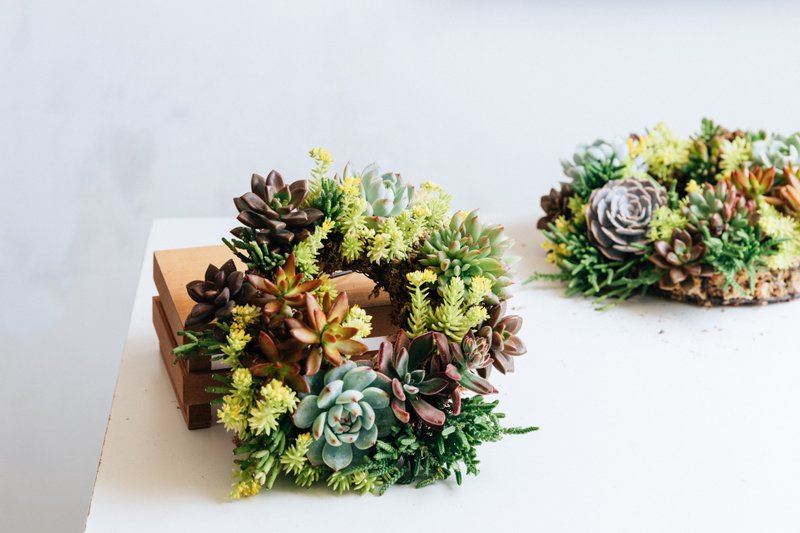 多肉花圈 圆满的回忆 植栽体验课 - 植栽 - 植物．花 