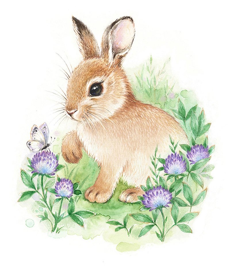 Rabbit Print, Bunny Watercolor Print, Rabbit Art - 海报/装饰画/版画 - 纸 粉红色