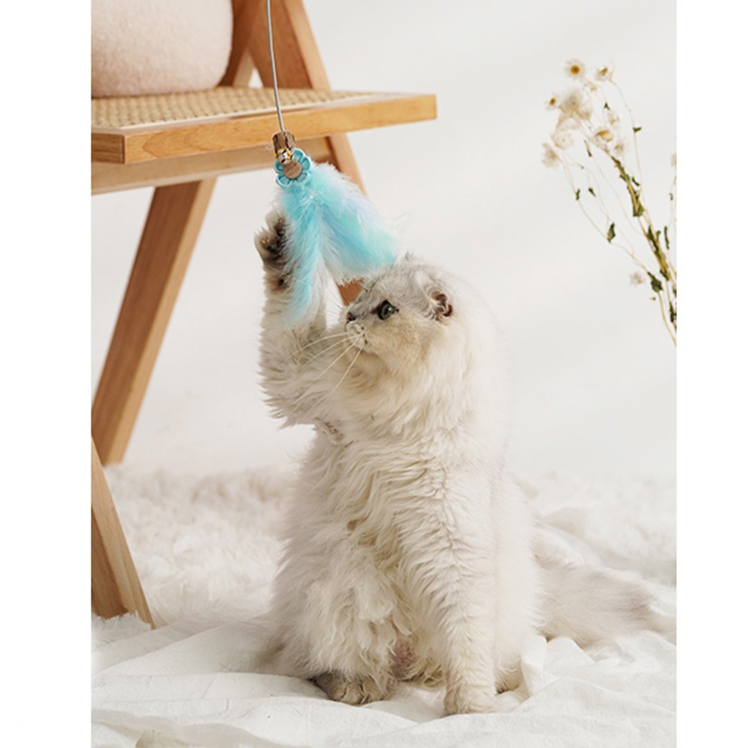猫咪自嗨/省力撩猫/纾压 | 摇摇乐-薄荷羽毛 Pawsholic爪迷 - 玩具 - 其他材质 