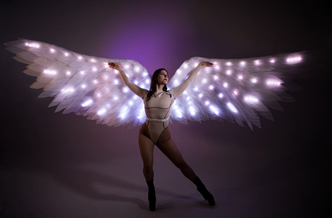 SMART LED Angel Wings Pixel Cosplay Angel Costume Fairy Wings - 其他 - 其他人造纤维 白色
