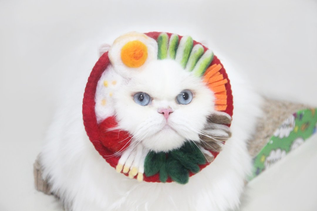 Wool Felt Korean Food Bibimbap Bowl | Pet Costume | Pet Photo Prop - 衣/帽 - 羊毛 