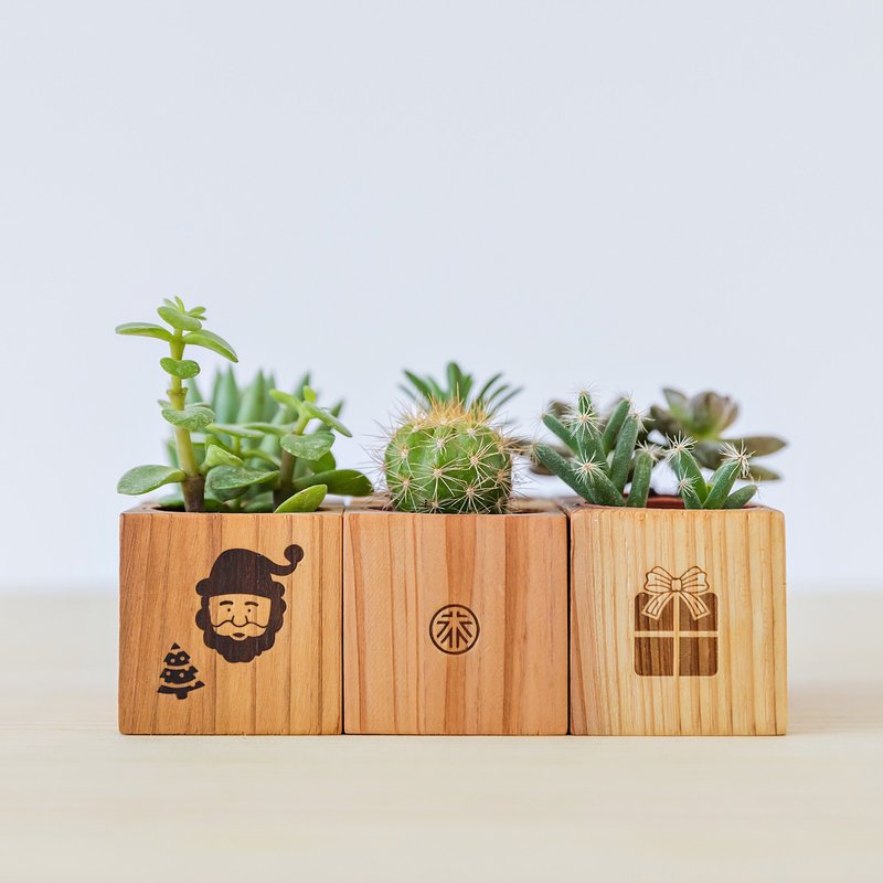 【柳杉磁铁盆】不含植物 原木花器 多肉磁铁木盆 装饰小物 - 植栽/盆栽 - 木头 