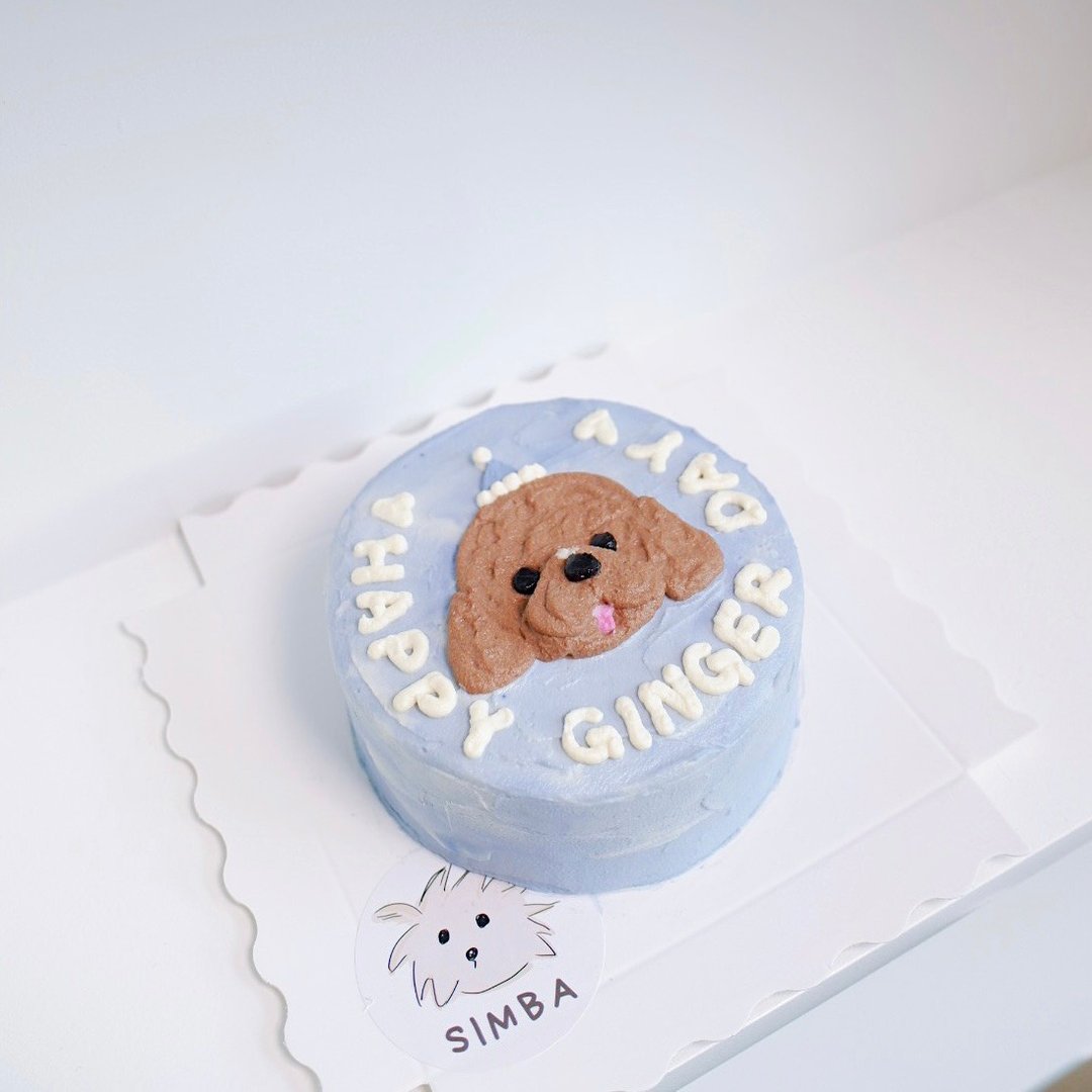 Little Simba 手绘头像生日蛋糕 - My Birthday Cake! - 猫罐头/鲜食 - 其他材质 