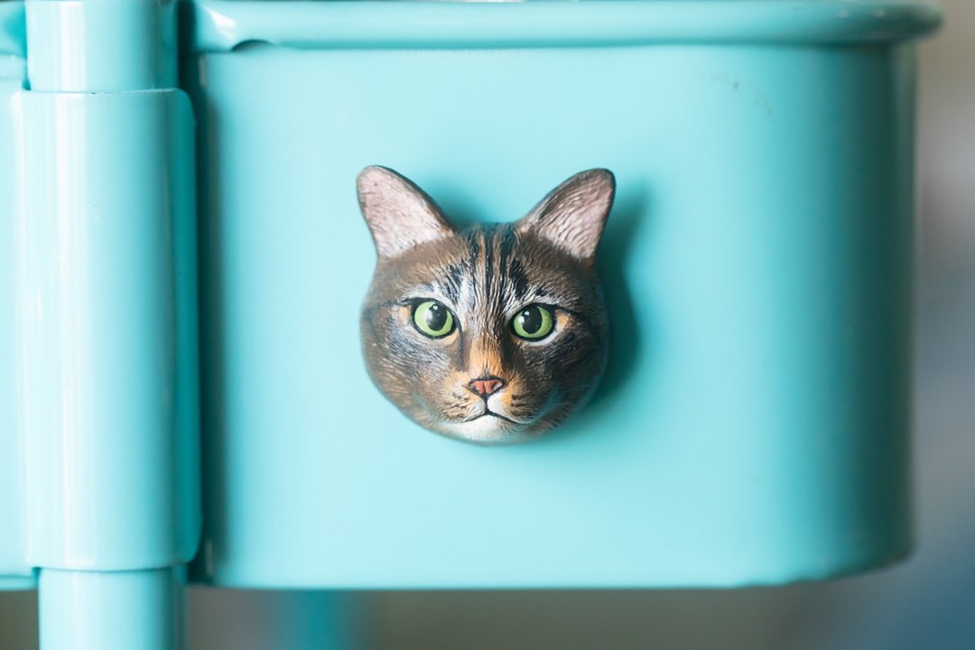 猫猫 定制化手工大头磁铁 - 玩偶/公仔 - 粘土 卡其色