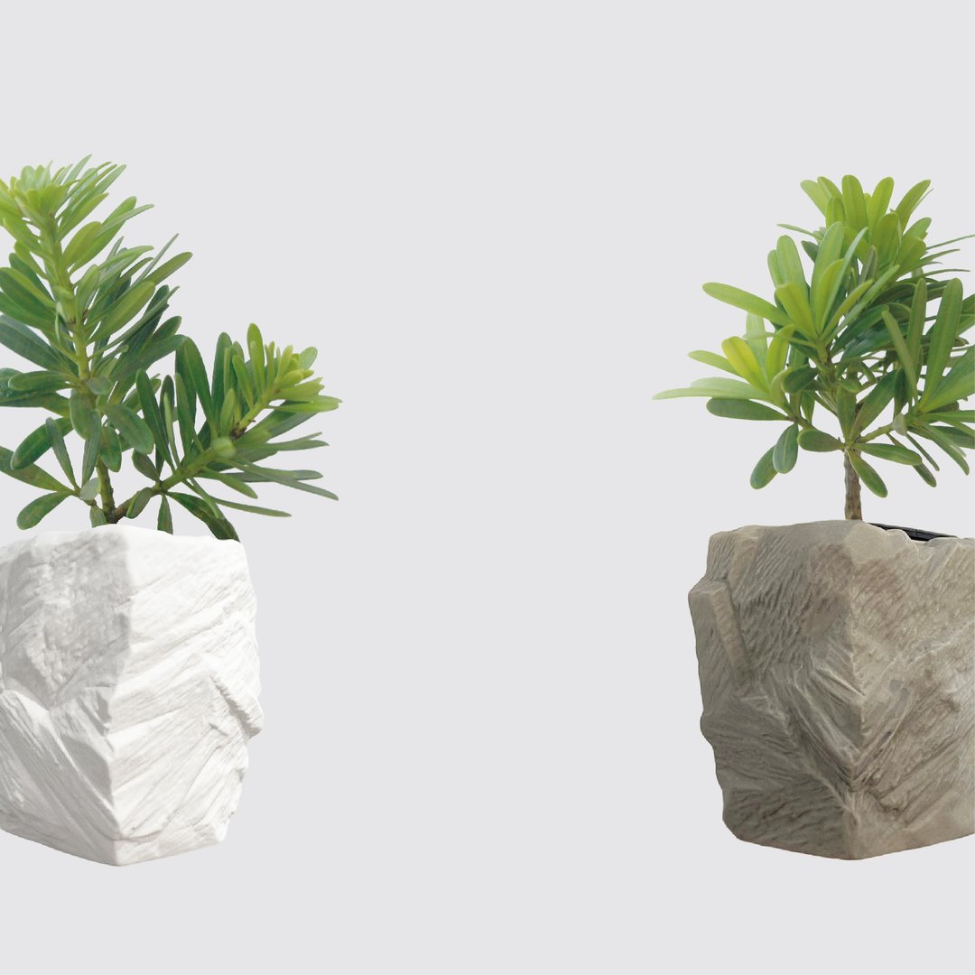 │ 方盆系列 │ 罗汉松 - 松柏植物 陶瓷盆器 室内植物 - 植栽/盆栽 - 植物．花 