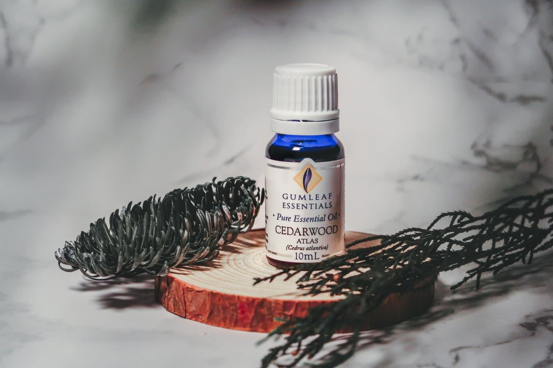 Cedarwood Atlas 大西洋雪松精油 - 香薰/精油/线香 - 精油 