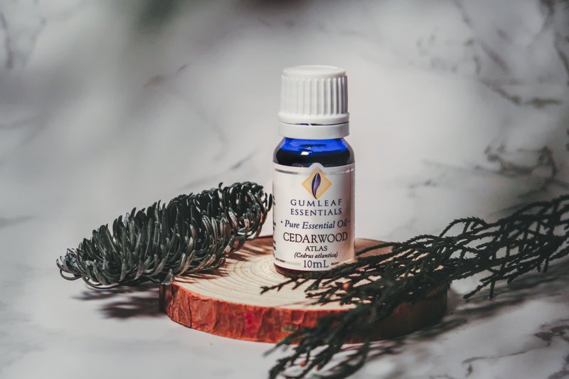 Cedarwood Atlas 大西洋雪松精油 - 香薰/精油/线香 - 精油 
