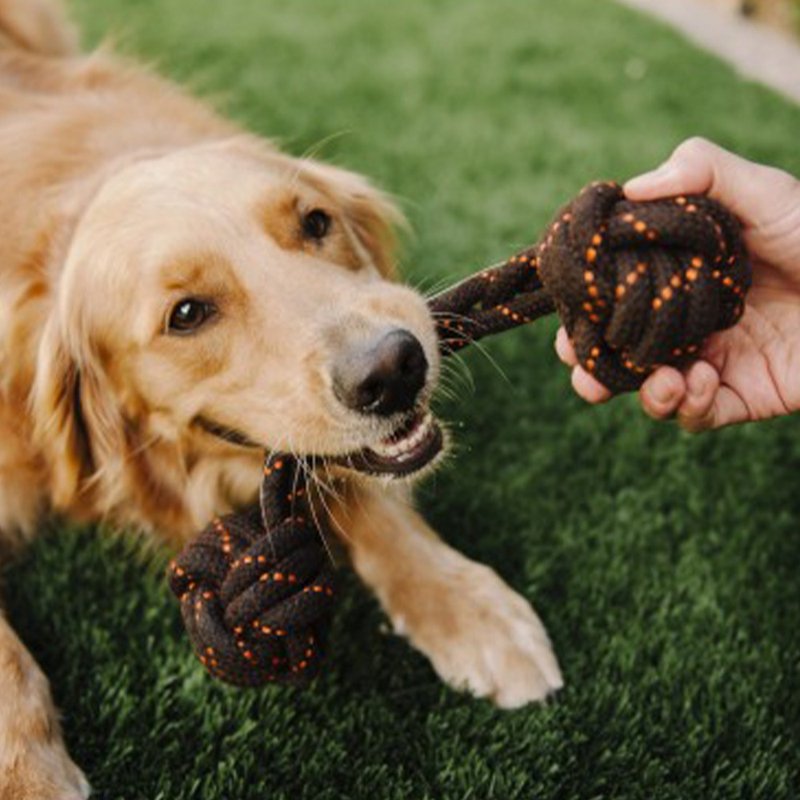 露营野趣 宠物玩具 狗狗 哑铃绳索 (S、L) - 玩具 - 棉．麻 
