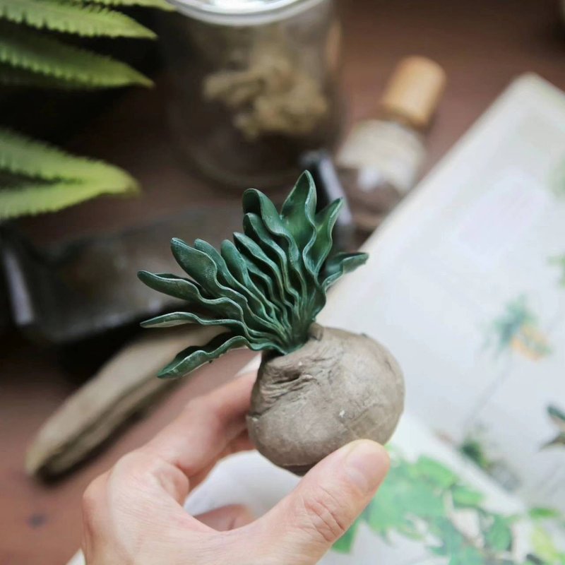 Caudex Aromastone- 块根植物扩香石-巨凤之卵 - 香薰/精油/线香 - 其他材质 绿色