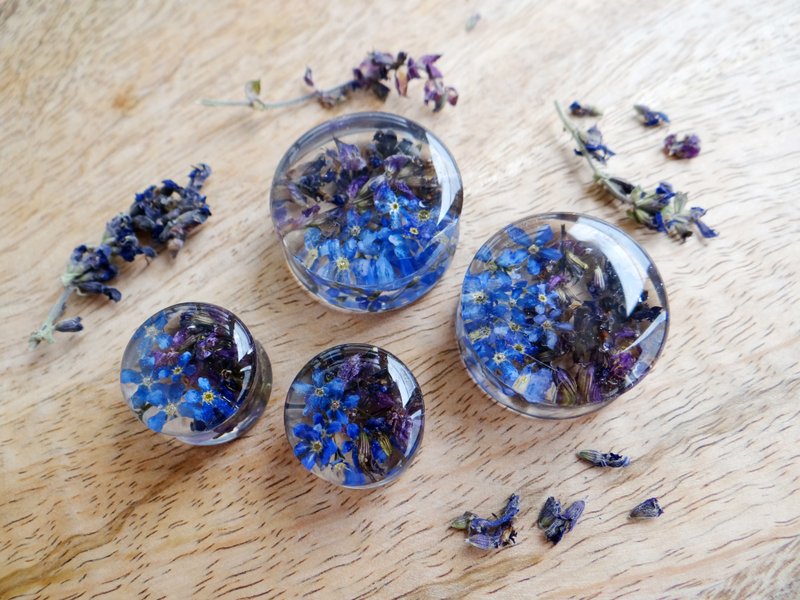 鼠尾草耳扩 勿忘我干燥花耳环 树脂艺术耳饰 隧道耳饰 - 耳环/耳夹 - 植物．花 紫色