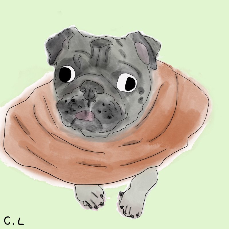 Ugly Pets 丑颜绘 - 电子手绘真人画像/绘画/插画 - 颜料 