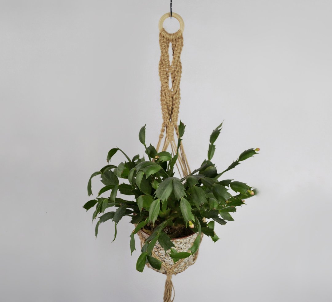 Macrame Plant Hanger of natural jute , plant hanger in boho style - 植栽/盆栽 - 棉．麻 卡其色