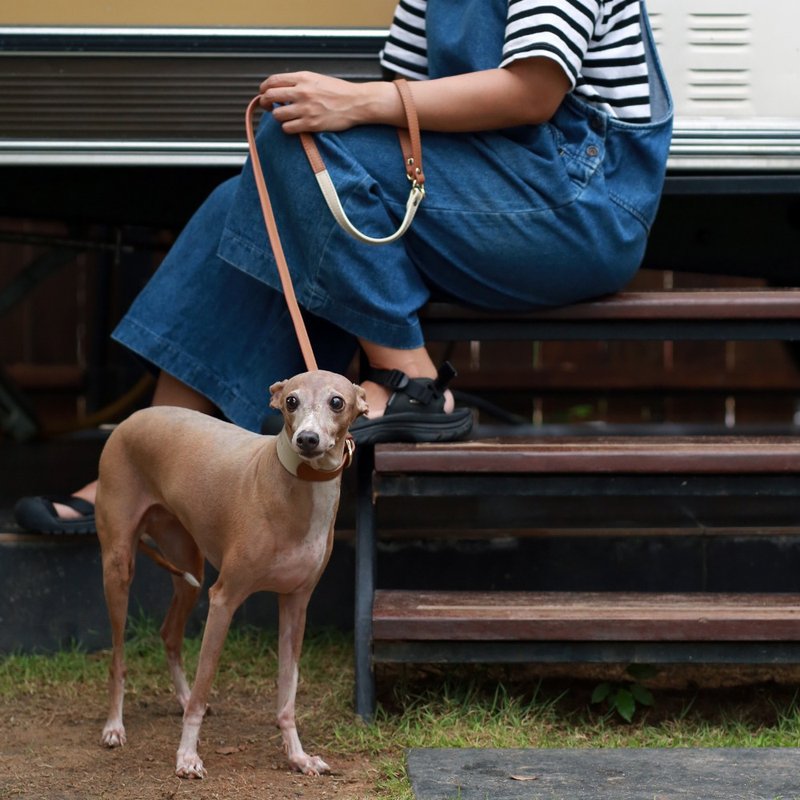 宠物皮带，肤色，棕褐色，真皮软皮，狗皮带，猫皮带 - 项圈/牵绳 - 真皮 咖啡色