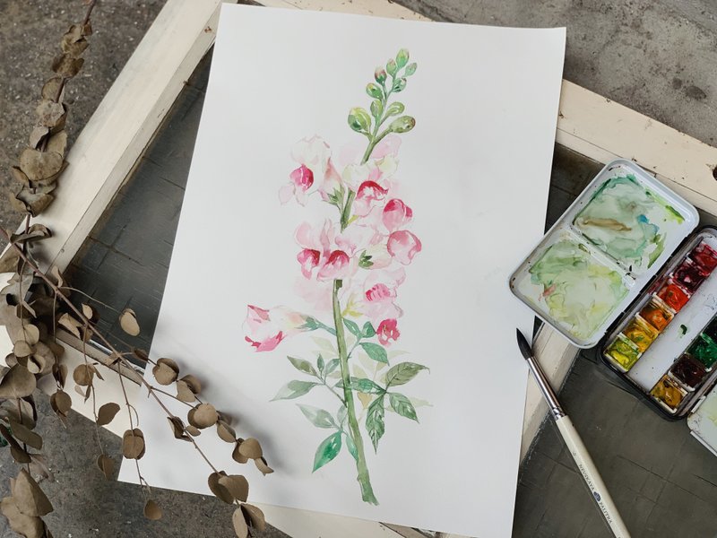 【一人成团】水彩渲染 /  梦幻金鱼草 水 彩 绘 - Hazel - 插画/绘画/写字 - 纸 